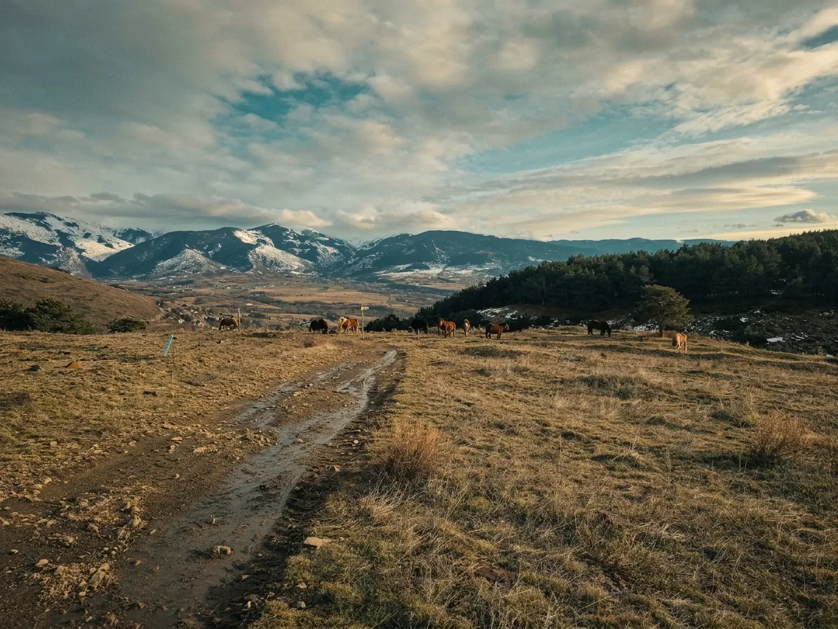 Open meadow and mountain horizon in Estavar
